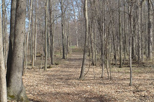 Property photo 126 - REAL ESTATE & PERSONAL PROPERTY AUCTION, 140 Acres offered in 8 Tracts or Combinations in Steuben County